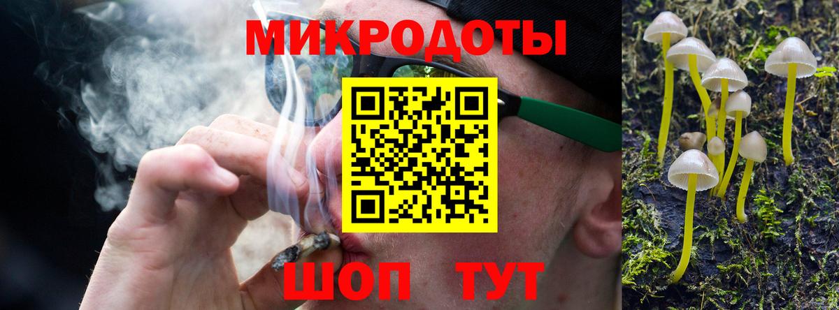 Псилоцибиновые грибы Cubensis Камень-на-Оби