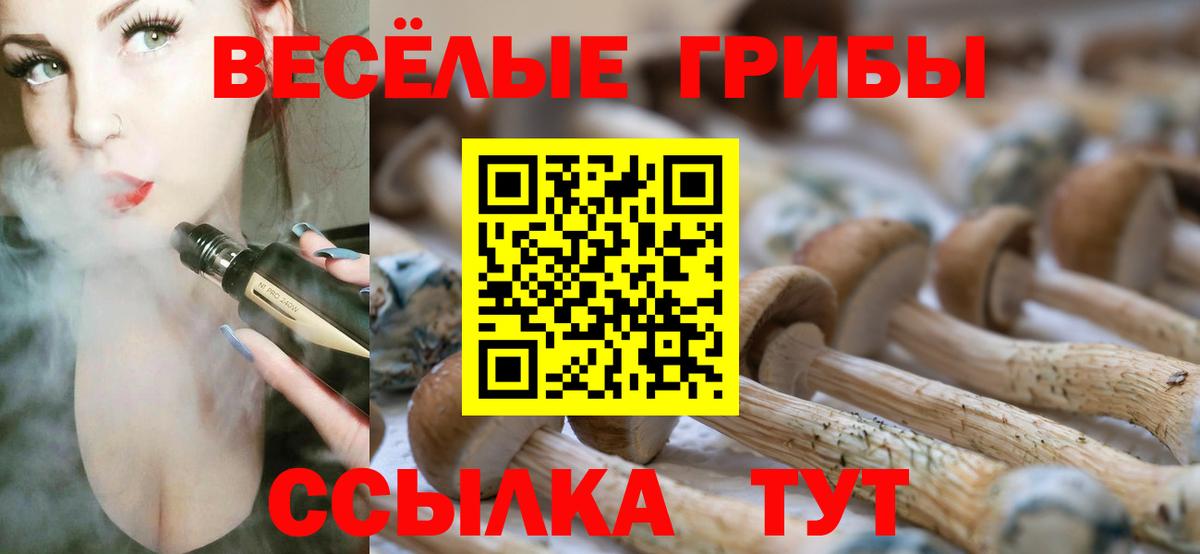 Псилоцибиновые грибы мицелий  Вход с VPN  Псилоцибиновые грибы Cubensis  Камень-на-Оби 